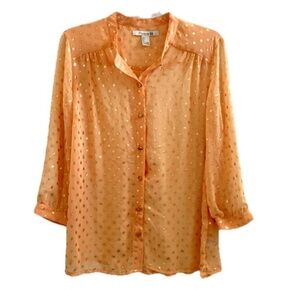 Women's/Juniors Sheer Blouse Size: Large